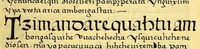 Picture 14 of 20 from Siguense unos breves sermones en la lengua de michuacan para cada domingo del ano fundados sobre un thema aunque por diversas materias, (1559), leaf 229