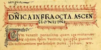 Picture 20 of 20 from Siguense unos breves sermones en la lengua de michuacan para cada domingo del ano fundados sobre un thema aunque por diversas materias, (1559), leaf 359