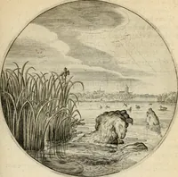 Picture 38 of 120 from Silenus Alcibiadis, sive, Proteus : vitae humanae ideam, emblemate trifariàm variato, oculis subijciens (1618), leaf 108