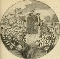 Picture 39 of 120 from Silenus Alcibiadis, sive, Proteus : vitae humanae ideam, emblemate trifariàm variato, oculis subijciens (1618), leaf 110