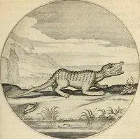 Picture 40 of 120 from Silenus Alcibiadis, sive, Proteus : vitae humanae ideam, emblemate trifariàm variato, oculis subijciens (1618), leaf 112
