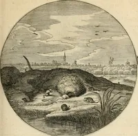 An illustration from Silenus Alcibiadis, sive, Proteus : vitae humanae ideam, emblemate trifariàm variato, oculis subijciens (1618)