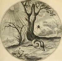 Picture 43 of 120 from Silenus Alcibiadis, sive, Proteus : vitae humanae ideam, emblemate trifariàm variato, oculis subijciens (1618), leaf 118