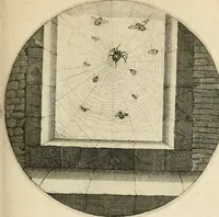 Picture 46 of 120 from Silenus Alcibiadis, sive, Proteus : vitae humanae ideam, emblemate trifariàm variato, oculis subijciens (1618), leaf 124