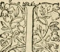 An illustration from Silenus Alcibiadis, sive, Proteus : vitae humanae ideam, emblemate trifariàm variato, oculis subijciens (1618)
