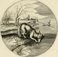Picture 87 of 120 from Silenus Alcibiadis, sive, Proteus : vitae humanae ideam, emblemate trifariàm variato, oculis subijciens (1618), leaf 438