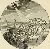 Picture 94 of 120 from Silenus Alcibiadis, sive, Proteus : vitae humanae ideam, emblemate trifariàm variato, oculis subijciens (1618), leaf 452