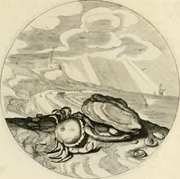 Picture 103 of 120 from Silenus Alcibiadis, sive, Proteus : vitae humanae ideam, emblemate trifariàm variato, oculis subijciens (1618), leaf 470