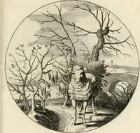 Picture 105 of 120 from Silenus Alcibiadis, sive, Proteus : vitae humanae ideam, emblemate trifariàm variato, oculis subijciens (1618), leaf 474