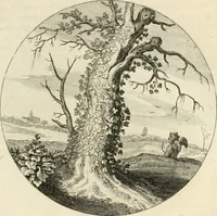 An illustration from Silenus Alcibiadis, sive, Proteus : vitae humanae ideam, emblemate trifariàm variato, oculis subijciens (1618)