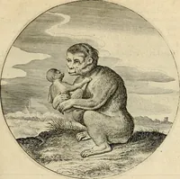An illustration from Silenus Alcibiadis, sive, Proteus : vitae humanae ideam, emblemate trifariàm variato, oculis subijciens (1618)