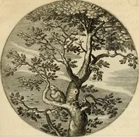 An illustration from Silenus Alcibiadis, sive, Proteus : vitae humanae ideam, emblemate trifariàm variato, oculis subijciens (1618)