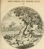 Picture 17 of 120 from Silenus Alcibiadis, sive, Proteus : vitae humanae ideam, emblemate trifariàm variato, oculis subijciens (1618), leaf 66