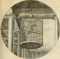 An illustration from Silenus Alcibiadis, sive, Proteus : vitae humanae ideam, emblemate trifariàm variato, oculis subijciens (1618)
