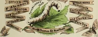 Picture 53 of 63 from The silk industry in America. A history: prepared for the Centennial Exposition (1876), leaf 308