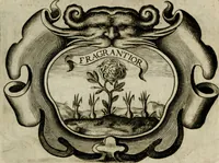 Picture 70 of 312 from Siluestri á Petrasancta Symbola heroica (1682), leaf 140