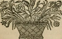 Picture 90 of 312 from Siluestri á Petrasancta Symbola heroica (1682), leaf 160