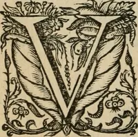 Picture 91 of 312 from Siluestri á Petrasancta Symbola heroica (1682), leaf 161