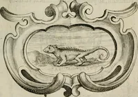 Picture 108 of 312 from Siluestri á Petrasancta Symbola heroica (1682), leaf 254