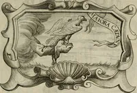 Picture 153 of 312 from Siluestri á Petrasancta Symbola heroica (1682), leaf 338