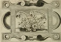 Picture 196 of 312 from Siluestri á Petrasancta Symbola heroica (1682), leaf 383