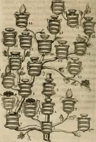 Picture 11 of 312 from Siluestri á Petrasancta Symbola heroica (1682), leaf 39