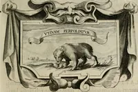 Picture 225 of 312 from Siluestri á Petrasancta Symbola heroica (1682), leaf 448