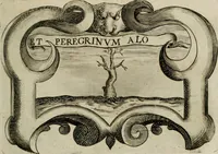 Picture 238 of 312 from Siluestri á Petrasancta Symbola heroica (1682), leaf 462