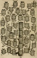 Picture 13 of 312 from Siluestri á Petrasancta Symbola heroica (1682), leaf 47