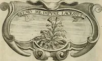 Picture 253 of 312 from Siluestri á Petrasancta Symbola heroica (1682), leaf 487