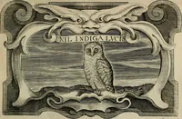 Picture 308 of 312 from Siluestri á Petrasancta Symbola heroica (1682), leaf 556