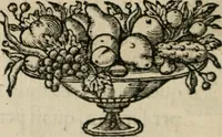 Picture 23 of 312 from Siluestri á Petrasancta Symbola heroica (1682), leaf 93