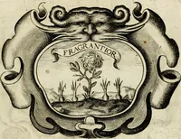 An illustration from Siluestri à Petrasancta Symbola heroica (1682)