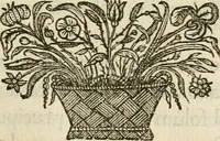 An illustration from Siluestri à Petrasancta Symbola heroica (1682)