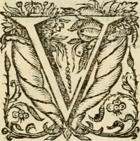 An illustration from Siluestri à Petrasancta Symbola heroica (1682)