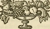 An illustration from Siluestri à Petrasancta Symbola heroica (1682)