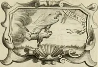 An illustration from Siluestri à Petrasancta Symbola heroica (1682)