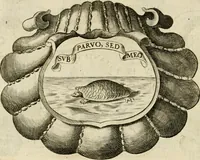 An illustration from Siluestri à Petrasancta Symbola heroica (1682)