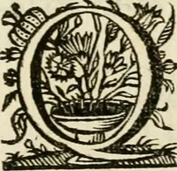 An illustration from Siluestri à Petrasancta Symbola heroica (1682)