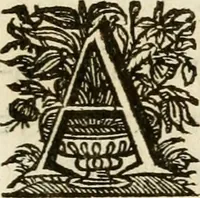An illustration from Siluestri à Petrasancta Symbola heroica (1682)