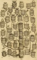An illustration from Siluestri à Petrasancta Symbola heroica (1682)