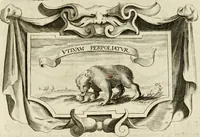 An illustration from Siluestri à Petrasancta Symbola heroica (1682)