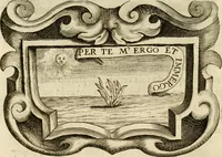 An illustration from Siluestri à Petrasancta Symbola heroica (1682)