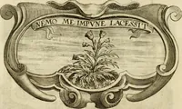 An illustration from Siluestri à Petrasancta Symbola heroica (1682)