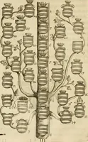 An illustration from Siluestri à Petrasancta Symbola heroica (1682)