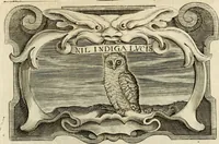 An illustration from Siluestri à Petrasancta Symbola heroica (1682)