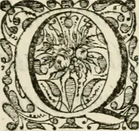 An illustration from Siluestri à Petrasancta Symbola heroica (1682)