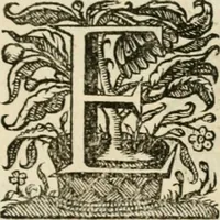 An illustration from Siluestri à Petrasancta Symbola heroica (1682)