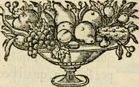 An illustration from Siluestri à Petrasancta Symbola heroica (1682)