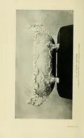 An illustration from Silver: pewter: Sheffield plate (1921)